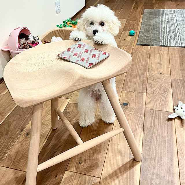 fuafuaさんの実例写真
