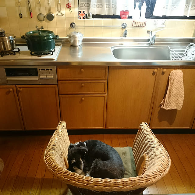 asaさんの実例写真