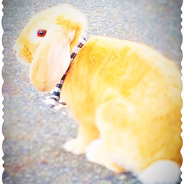NaoMさんの実例写真