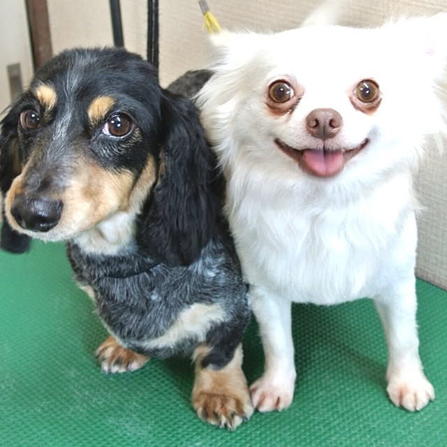 cocoさんの実例写真