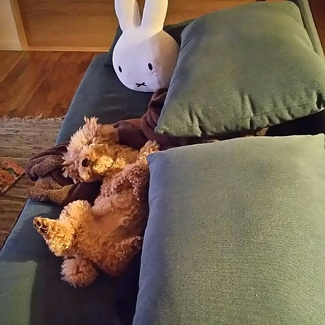 tentenさんの実例写真