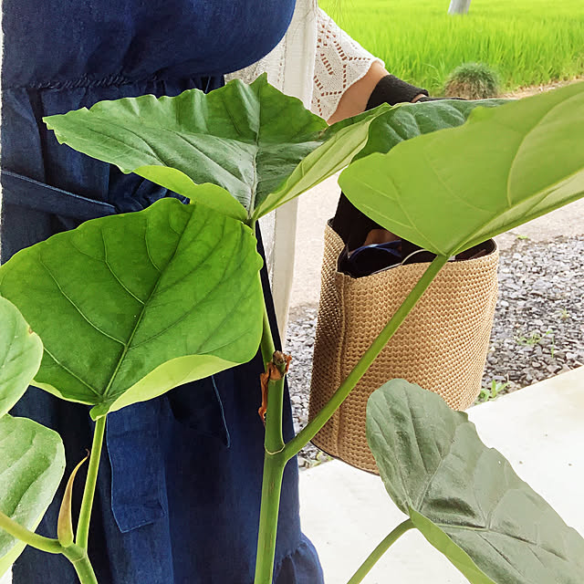 RYOさんの部屋