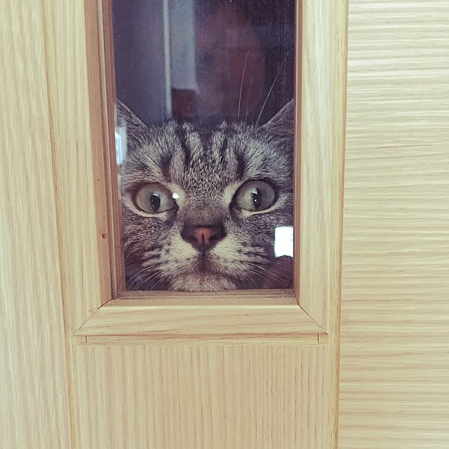 hiyupan88さんの実例写真