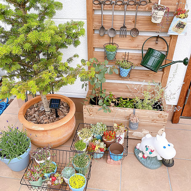 多肉植物/多肉植物のある暮らし/Daiso/DIY/seria...などのインテリア実例 - 2021-04-03 16:32:33