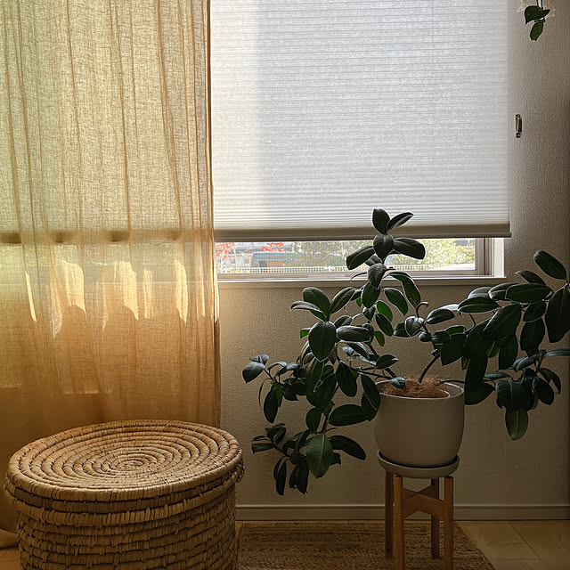 moon.mさんの部屋