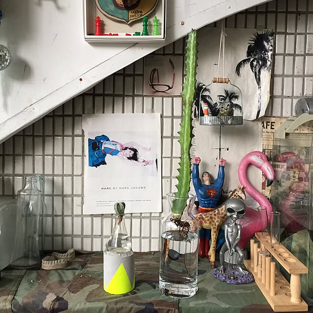 Fangさんの実例写真