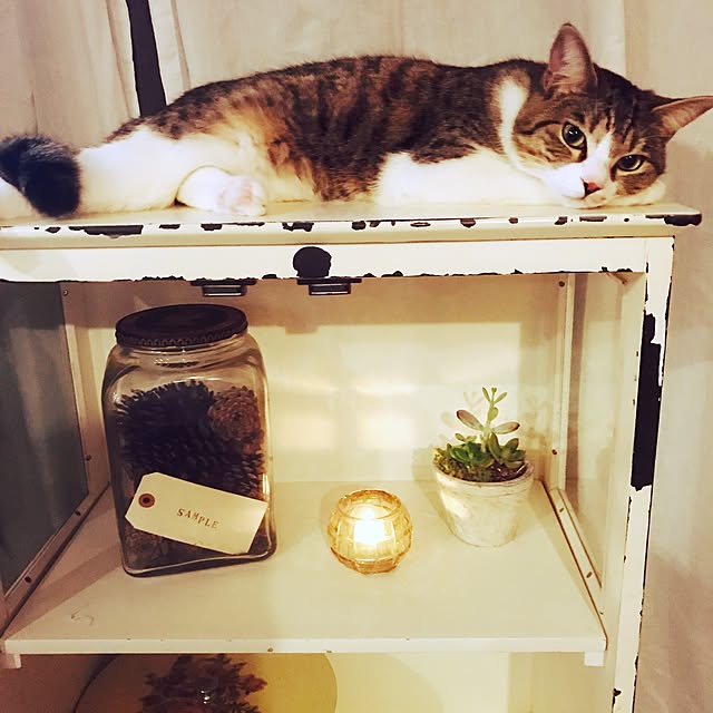 Candyboxさんの実例写真