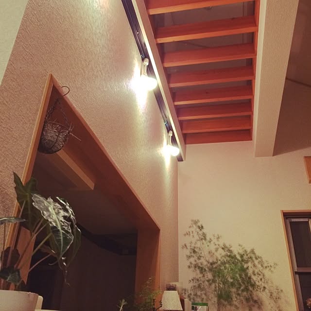 SAFARIさんの実例写真