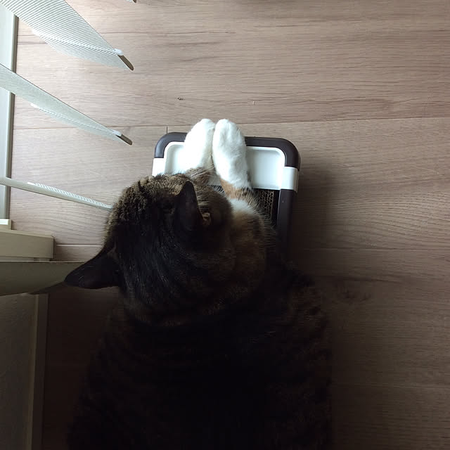 houenさんの実例写真