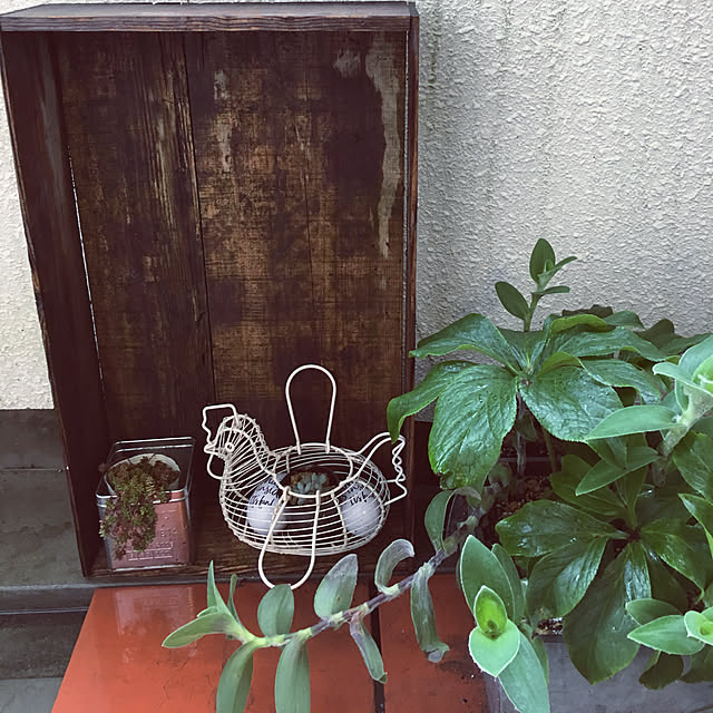 ikukoさんの実例写真