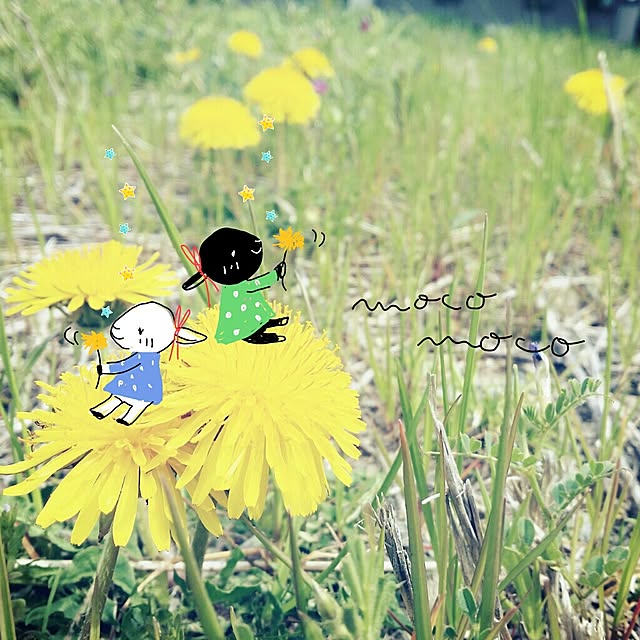 moco-mocoさんの実例写真