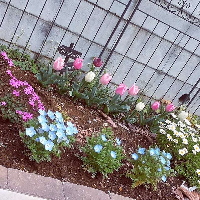 merokoさんの実例写真