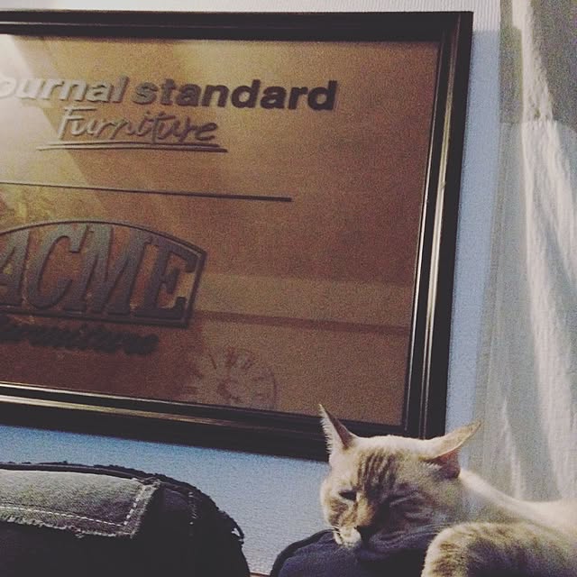 Naoki.さんの実例写真