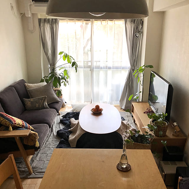 DailyRoomclip