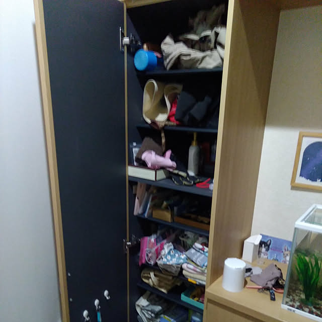 nassygoldcopperさんの実例写真