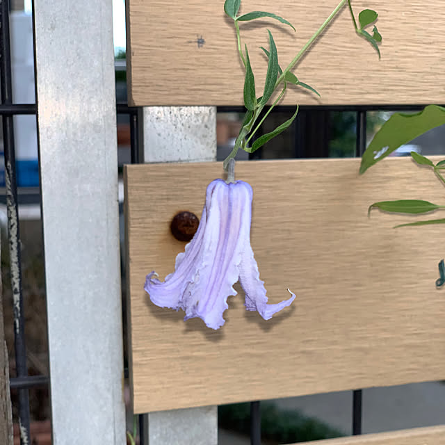 KYONさんの部屋