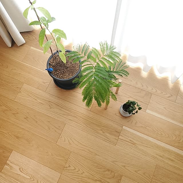 tokkiさんの部屋