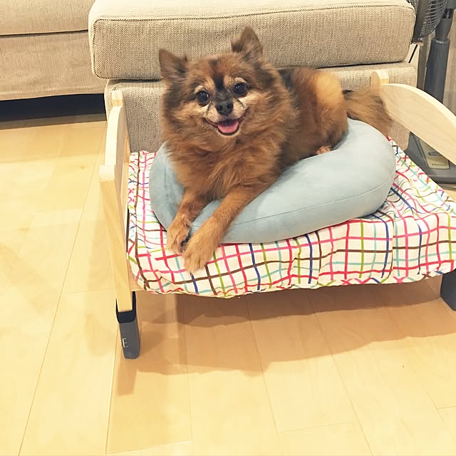 pomuriさんの実例写真