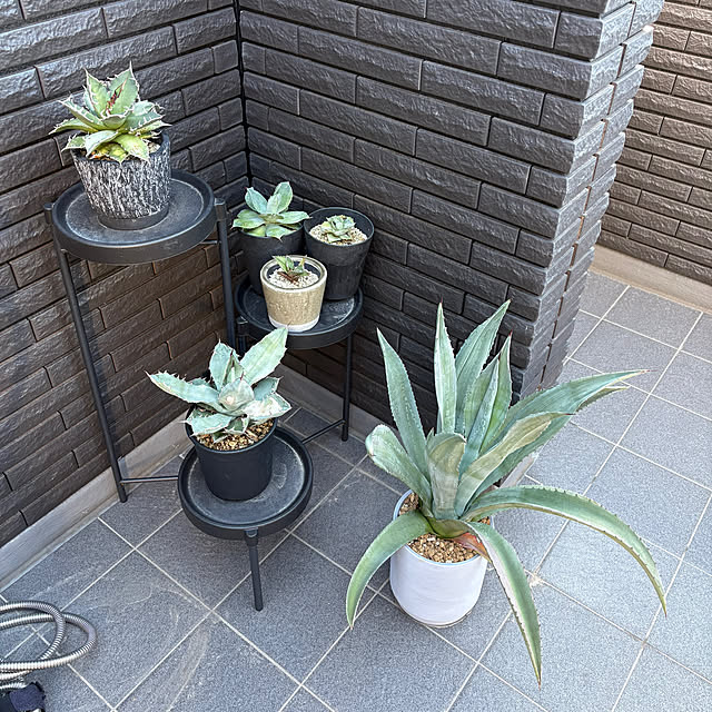 Rさんの実例写真