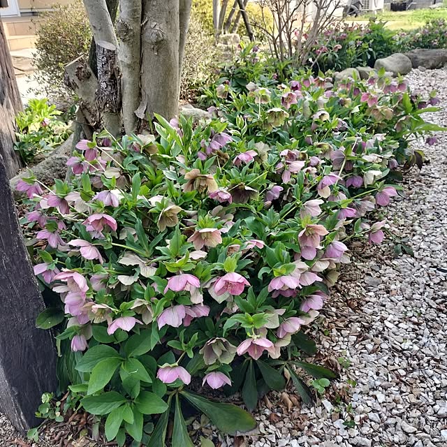 feuileさんの実例写真