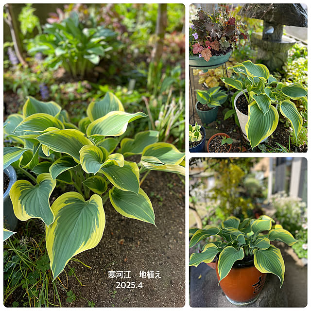 buchiさんの部屋