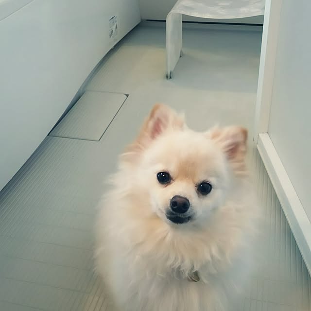 yuki15さんの実例写真