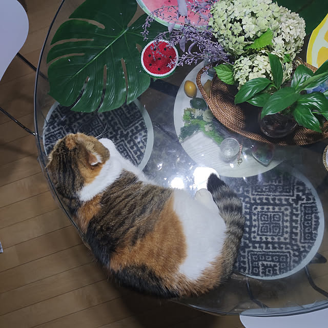 hiro3さんの実例写真