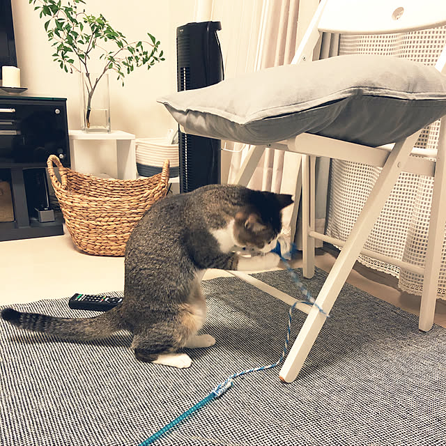 nekomiさんの実例写真
