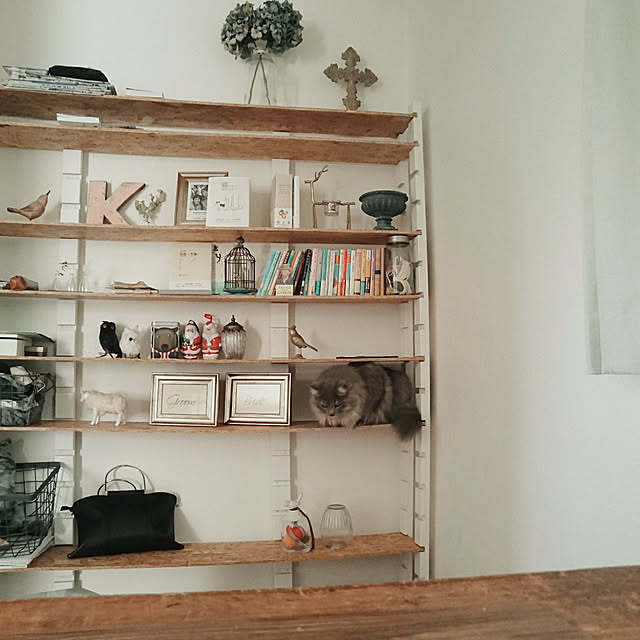 kana-kumakunさんの実例写真