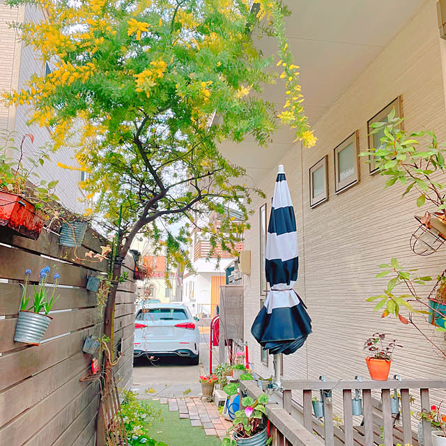 risaさんの実例写真