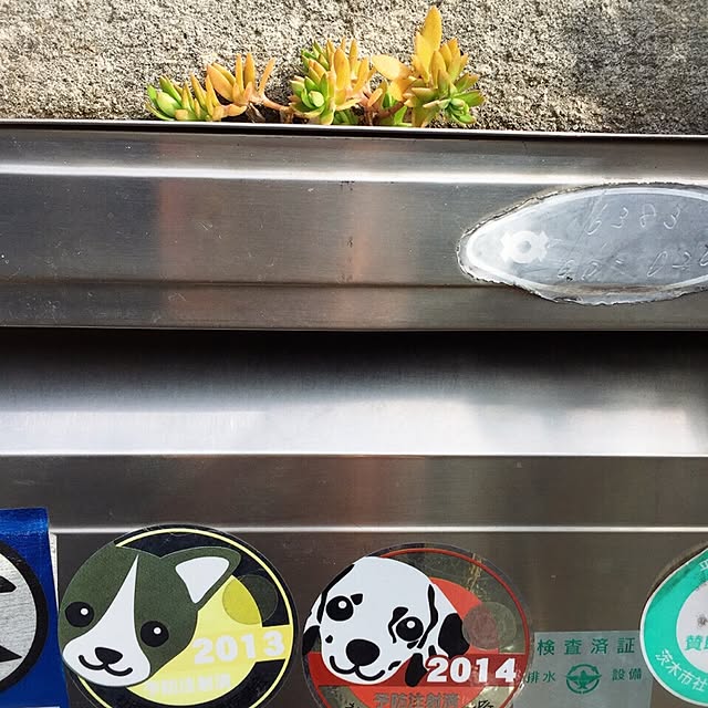 moririnさんの実例写真