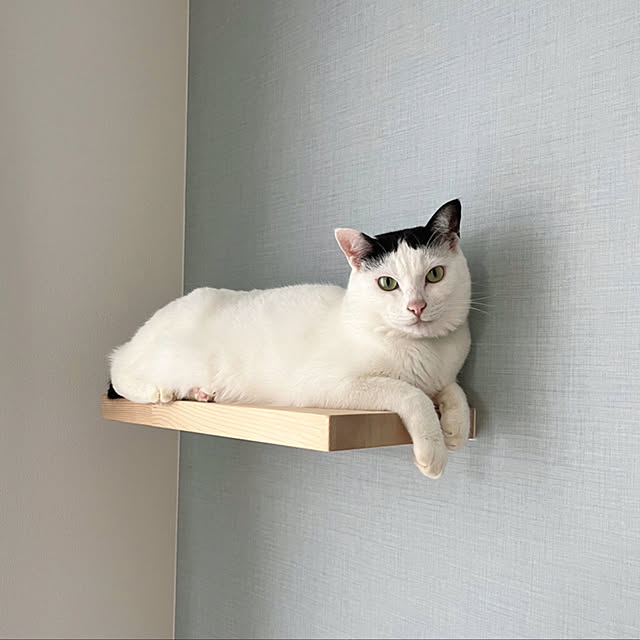 ririmama_roomさんの実例写真