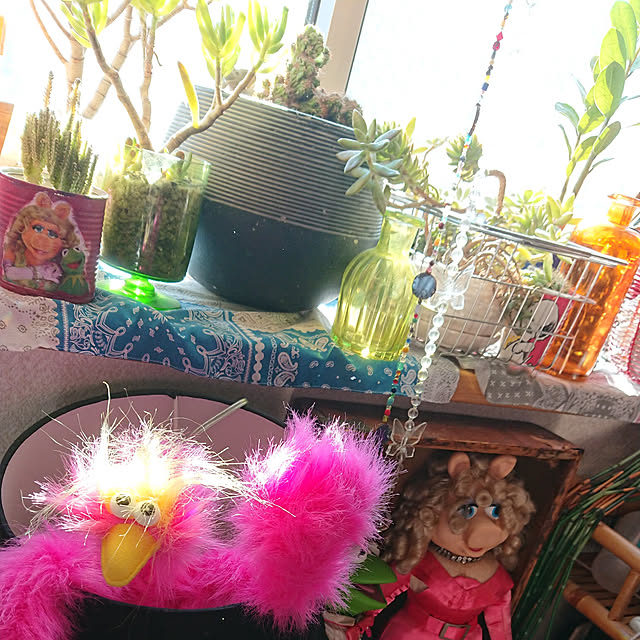 denkoさんの実例写真