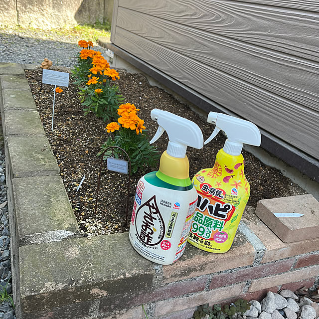 mogumoguさんの実例写真