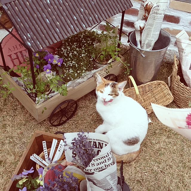sawaさんの実例写真