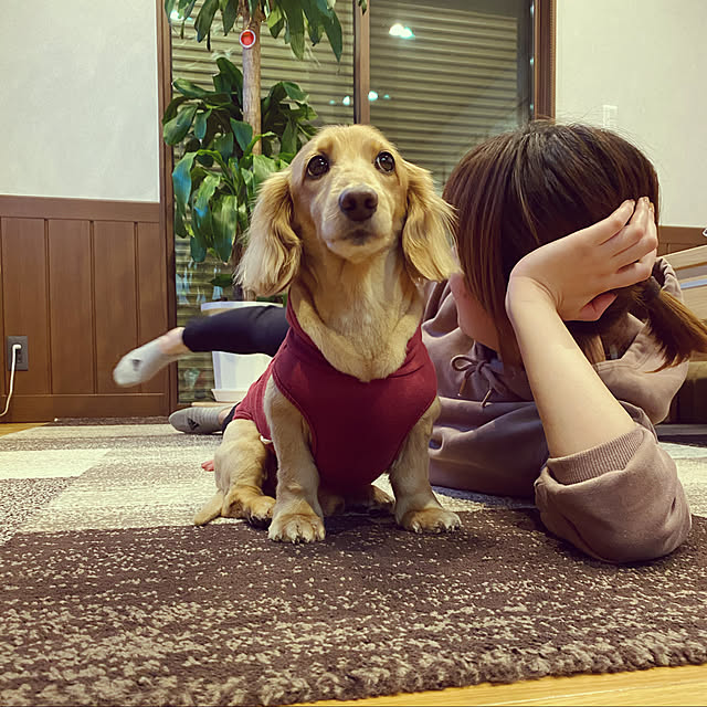 ponponcooさんの実例写真