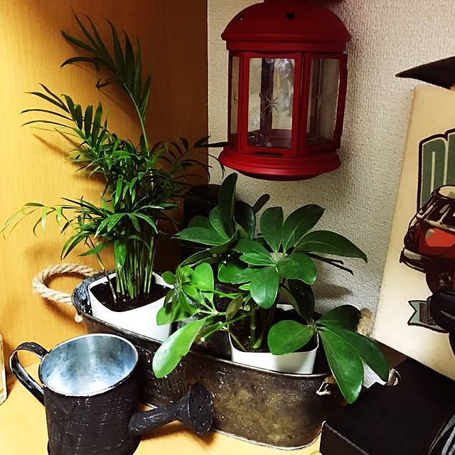 shotoa-chan.k0530さんの実例写真