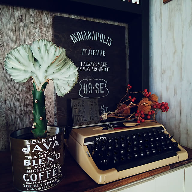 xxakemichxxさんの実例写真