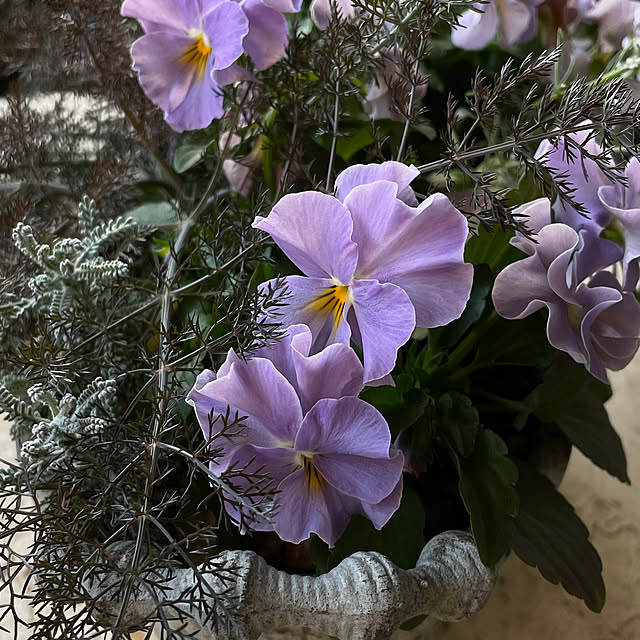 mamisazさんの部屋