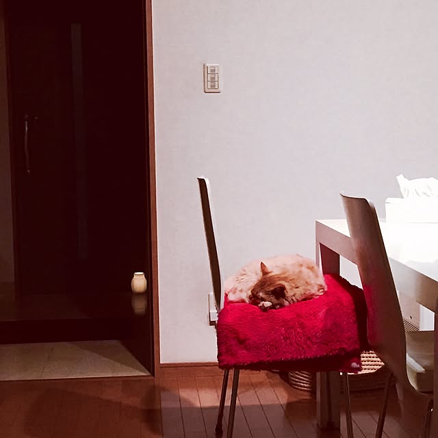 Ryokoさんの実例写真