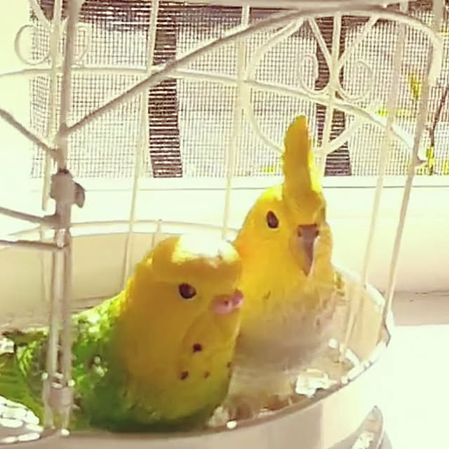 kiyosukeさんの実例写真