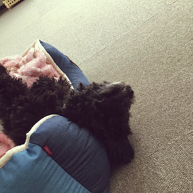 sae.FAさんの実例写真