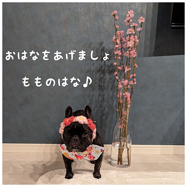 aoking.nanaさんの実例写真