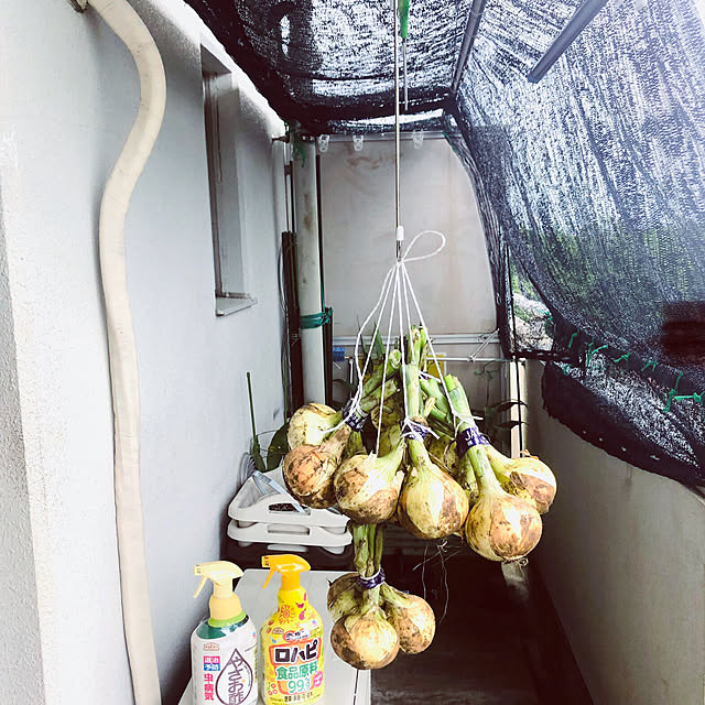 hanachanさんの部屋