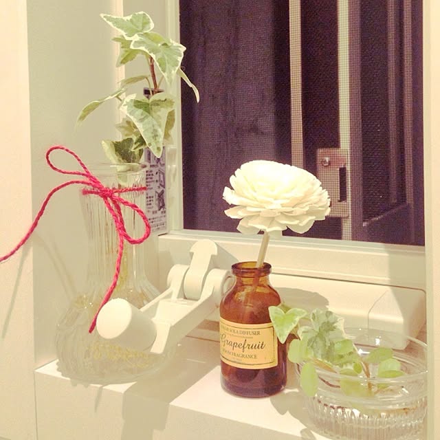 pir_ori17さんの実例写真