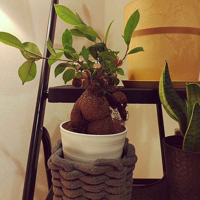 itsukiさんの実例写真