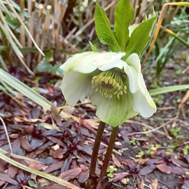 hiro.904さんの部屋