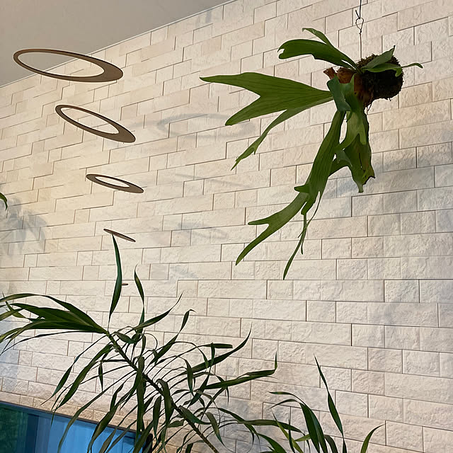 matthewさんの部屋