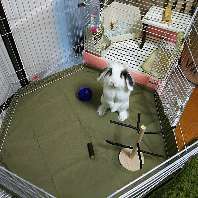 WASABIさんの実例写真