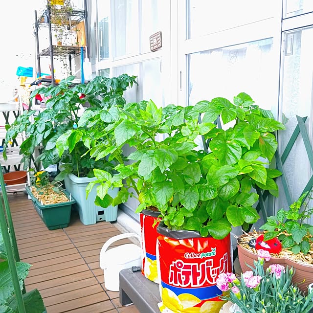 mariaさんの部屋